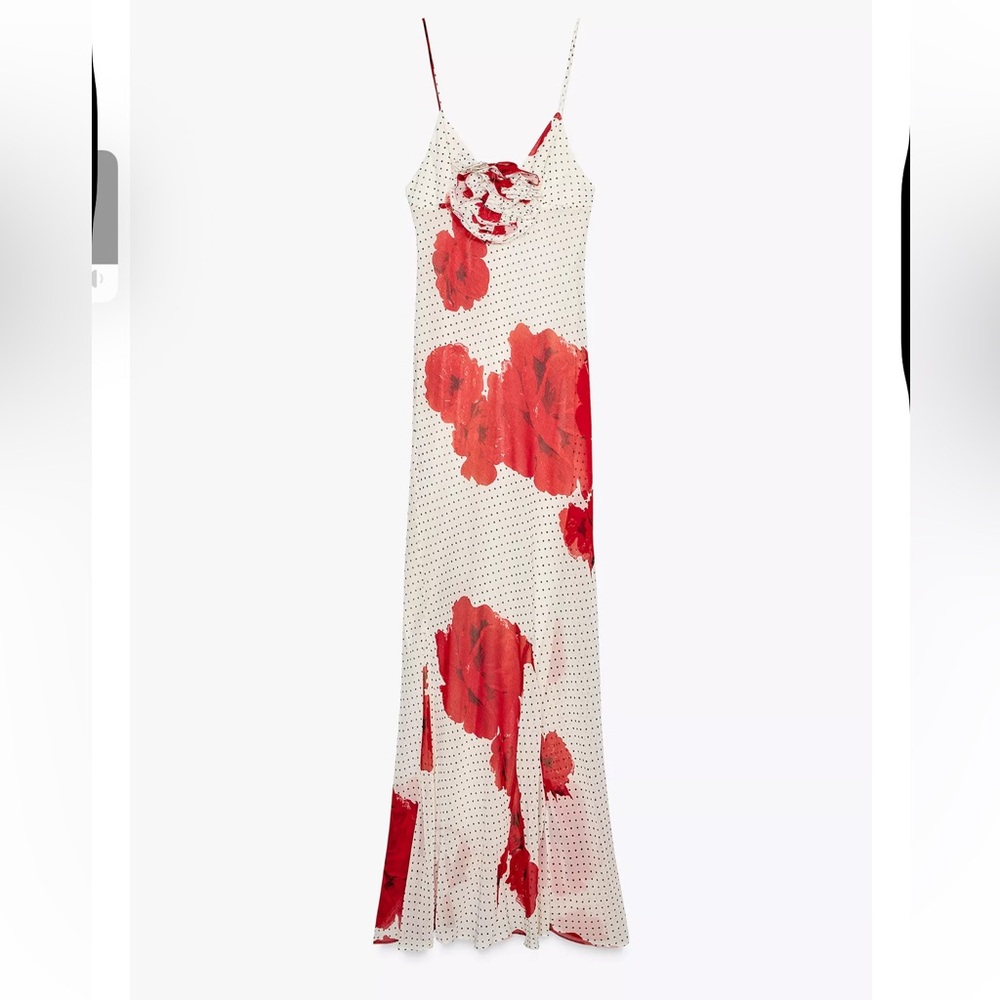 Zara Red and White Floral Maxi Dress
